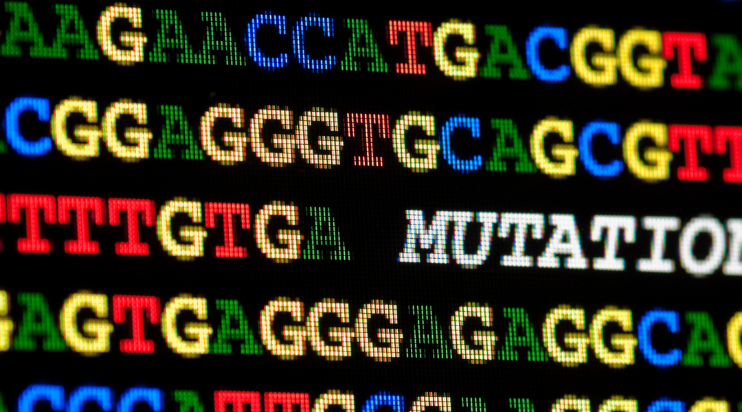 Le droit des sociétés face aux défis du XXIème siècle : Une mutation nécessaire