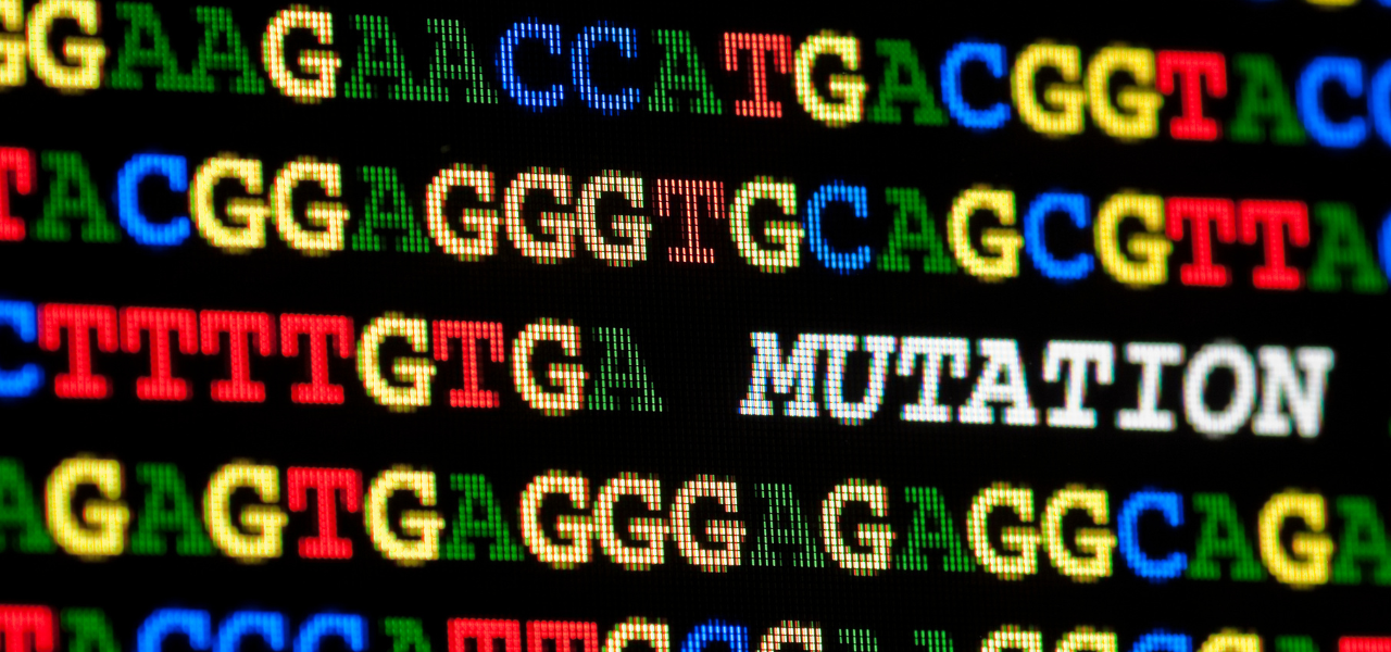 Le droit des sociétés face aux défis du XXIème siècle : Une mutation nécessaire