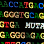 Le droit des sociétés face aux défis du XXIème siècle : Une mutation nécessaire