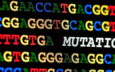 Le droit des sociétés face aux défis du XXIème siècle : Une mutation nécessaire