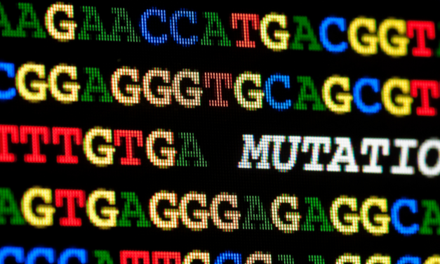 Le droit des sociétés face aux défis du XXIème siècle : Une mutation nécessaire