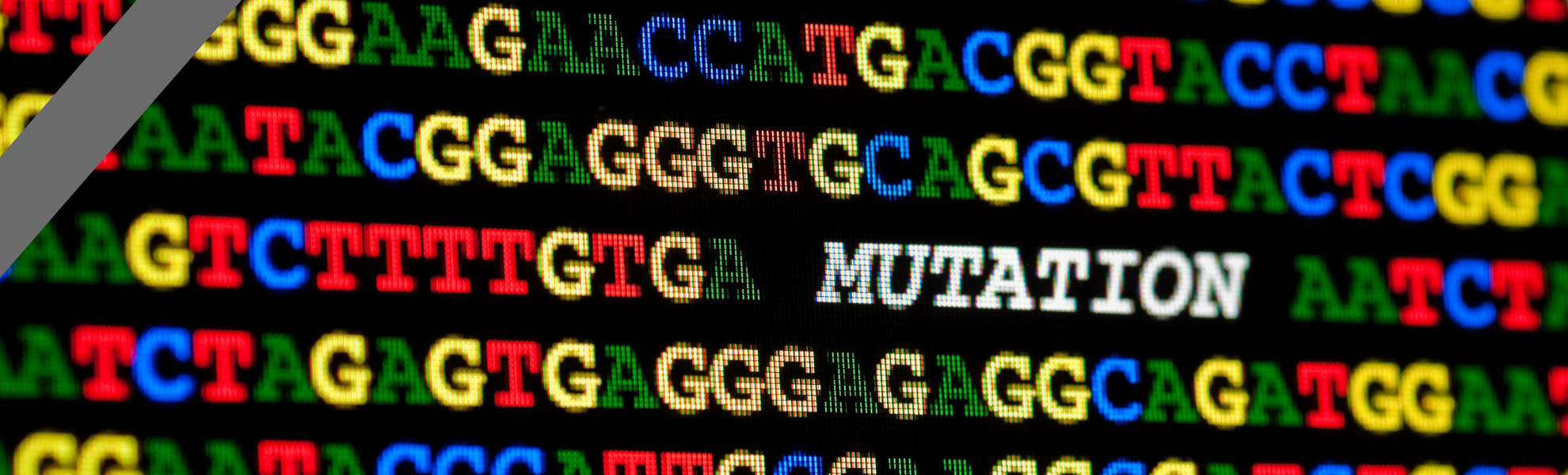 Le droit des sociétés face aux défis du XXIème siècle : Une mutation nécessaire